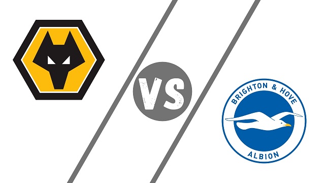 wolves vs brighton premier league 09 05 2021